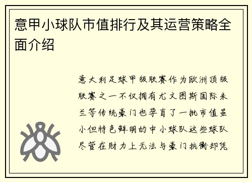意甲小球队市值排行及其运营策略全面介绍