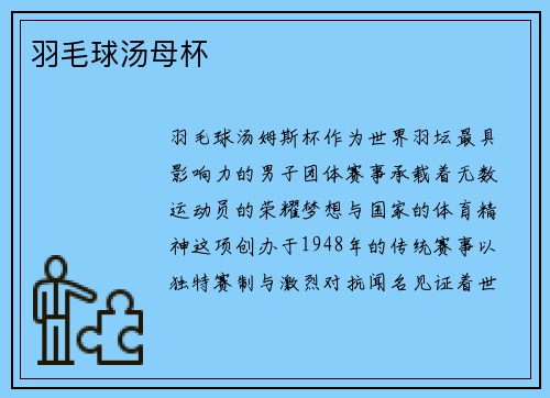 羽毛球汤母杯